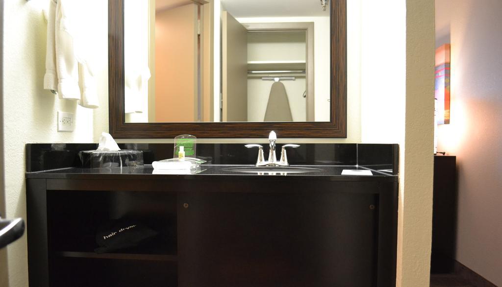 Holiday Inn Houston S - Nrg Area - Med Ctr By Ihg Номер фото