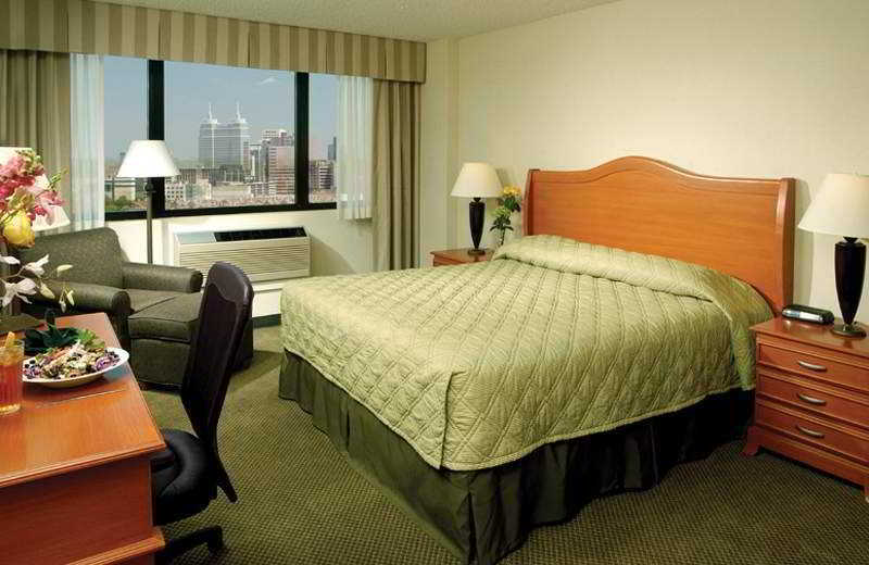 Holiday Inn Houston S - Nrg Area - Med Ctr By Ihg Номер фото